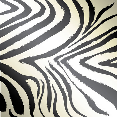 Zebra pink backgroundのイラスト素材
