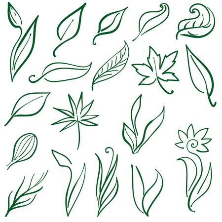 Set of free hand illustrations of leafs and plants のイラスト素材