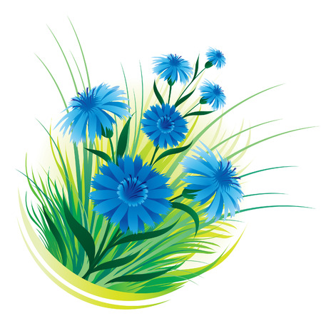 Cornflower in the green fresh grassのイラスト素材