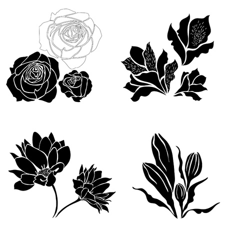 Set of black flower design elementsのイラスト素材