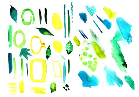 Set of watercolor handmade design elements with leafs and flowersの写真素材