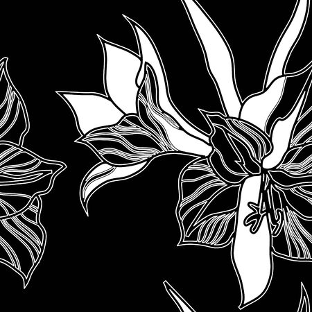 Vector seamless floral pattern, freehand drawing - flowers and leafsのイラスト素材