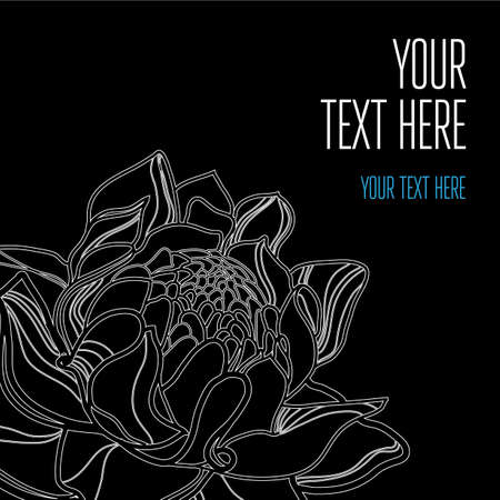 Vector stylish black floral background - design elements can be used for invitation, greeting cardsのイラスト素材