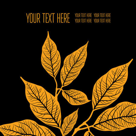 Vector stylish floral background - design elements can be used for invitation, greeting cardsのイラスト素材