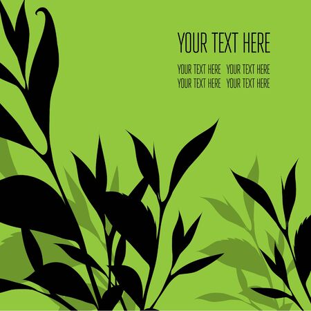 Vector stylish floral background - design elements can be used for invitation, greeting cardsのイラスト素材