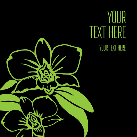 stylish black floral background - design elements can be used for invitation, greeting cardsのイラスト素材
