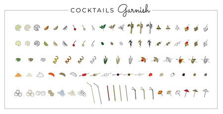 Set of fruit flat illustration. Cocktail garnish. Vector illustration of citrusのイラスト素材