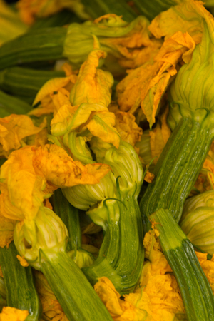 zucchini blossomsの写真素材