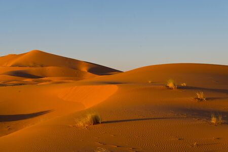 sahara dunes in erg chebbi, moroccoの写真素材