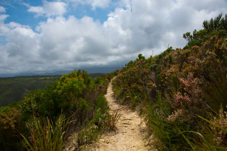 Footpath in Garden Route National Park, Tsitsikamma Section, near Storms River, Eastern Cape, South Africaの写真素材