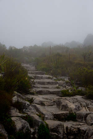 foggy footpath on platteklip gorge, table mountain, cape town, south africaの写真素材