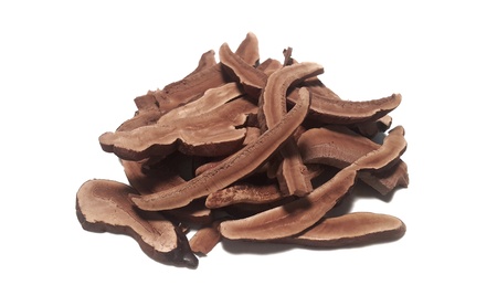 Dried lingzhi mushroom is  piece  on white background ,herb,expensiveの写真素材
