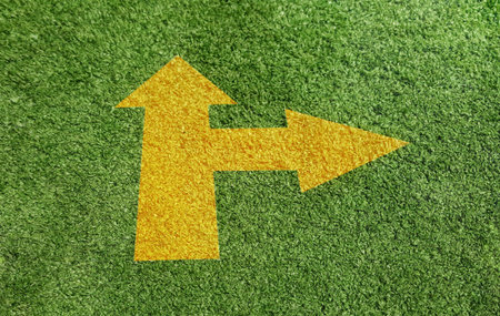 Go straight turn right  isolated  with  artificial turf background.Image overlapping technique.