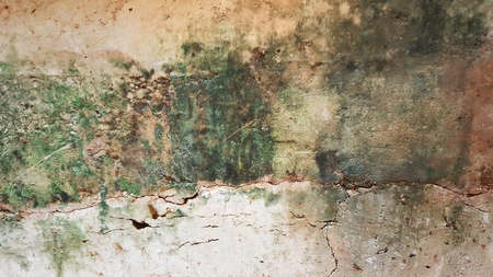 Brick wall with green lichens and moss,The wall is cracked ann old dirty wall. ( photo intended : contrast) texture,background ,wallpaperの写真素材