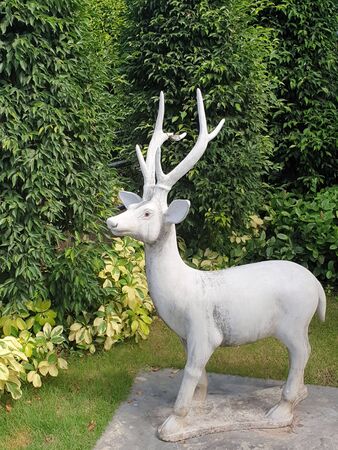 Deer statue made of cement standing in the garden with copy space. Used for decorating.の写真素材