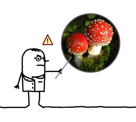 cartoon man doctor warning dangers of mushroom Amanitaの写真素材