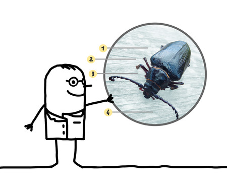 cartoon man entomologist showing a beetleの写真素材