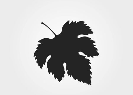 grape leaf silhouette. nature and plant design element. isolated vector imageのイラスト素材