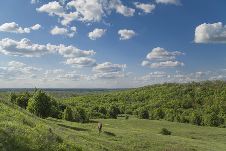 Green hills and the amazing skyline of Ukraine under the blue sky and white clouds.