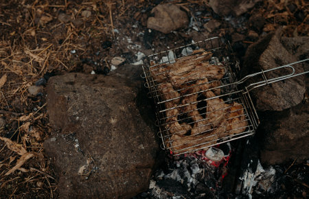 Top view against a background of dry leaves and stones: a row of pork ribs laid out on grates,...