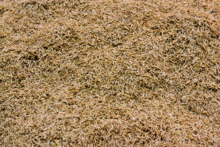 Chaffの写真素材