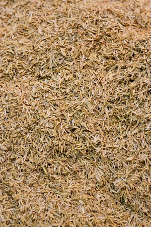 Chaffの写真素材