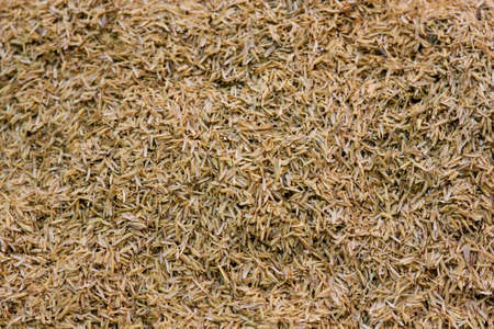 Chaffの写真素材