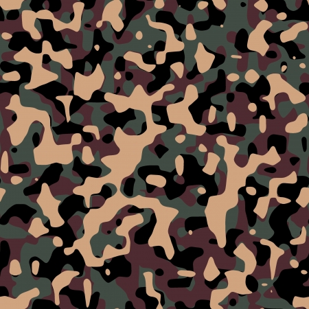Image of a camoflauge background.の写真素材