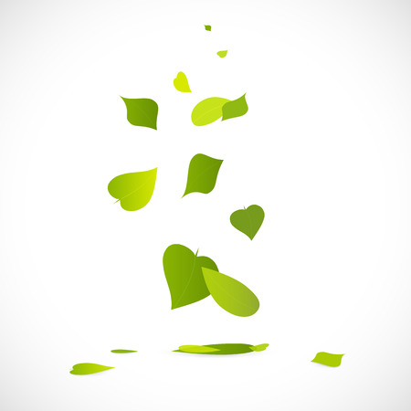 Illustration of a falling leaves isolated on a white background.のイラスト素材