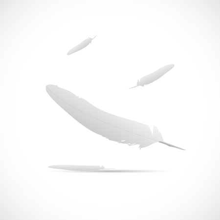 Illustration of a floating feathers isolated on a white background.のイラスト素材