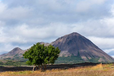 Chaleur Nordique, Myvatnの写真素材