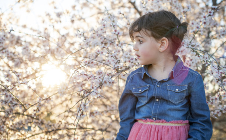 little girl posing in spring next to the almond blossomsの写真素材