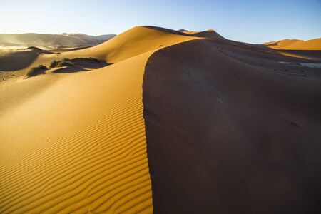View of red dunes in  in the Namib Desert, in Sossusvlei, in the Namib-Naukluft National Park of Namibiaの写真素材