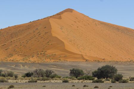 View of red dunes in  in the Namib Desert, in Sossusvley, in the Namib-Naukluft National Park of Namibiaの写真素材