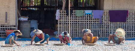 NGAPALI, MYANMAR - DECEMBER 03, 2014: women drying sea fish on the beach in Thandwe village, Ngapali beach, Myanmarのeditorial素材