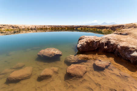 Ojos del Salar Lagoon, Salar de Atacama nearby San Pedro de Atacama, Antofagasta Region, Chileの写真素材