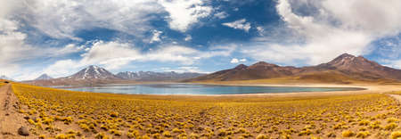 Miscanti Lagoon on the altiplano in the Atacama Desert in the Antofagasta region of northern Chile, South Americaの写真素材