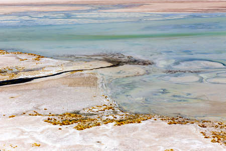 Tuyajto Lagoon on the altiplano in the Atacama Desert in the Antofagasta region of northern Chile, South America.の写真素材