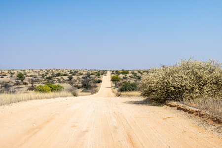 Scenic route in Kgalagadi Transfrontier Park, South Africaの写真素材