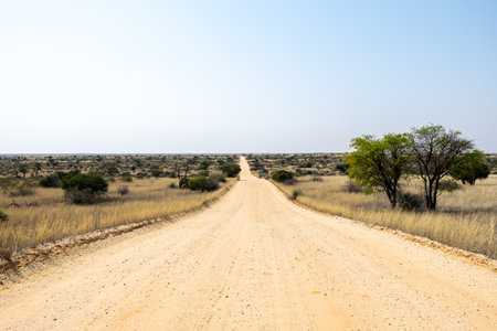 Scenic route in Kgalagadi Transfrontier Park, South Africaの写真素材
