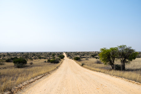 Scenic route in Kgalagadi Transfrontier Park, South Africaの写真素材