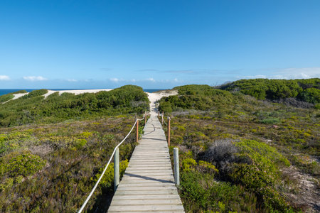 De Hoop Nature Reserve, a nature reserve in the Western Cape Province of South Africaの写真素材
