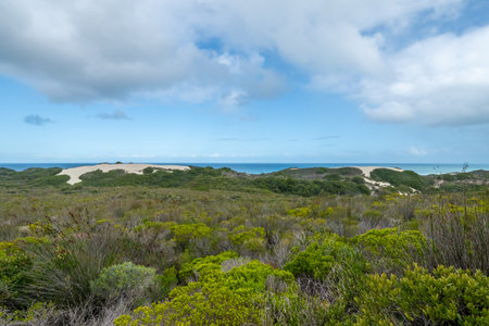 De Hoop Nature Reserve, a nature reserve in the Western Cape Province of South Africaの写真素材