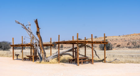 Picnic area near Twee Rivieren Rest Camp, in Kgalagadi Transfrontier Park, South Africaの写真素材