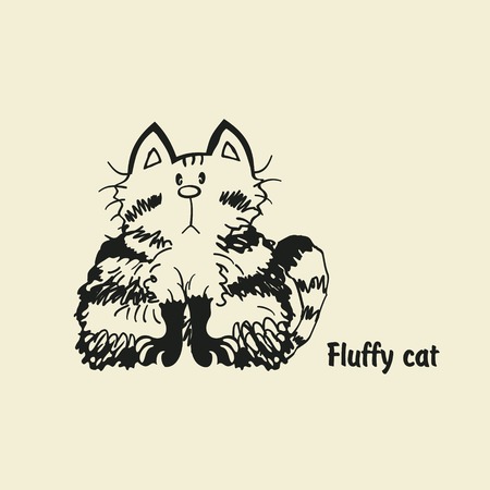 fluffy catのイラスト素材