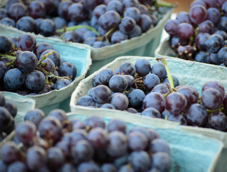 Grapesの写真素材