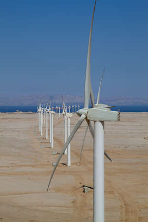windfarm