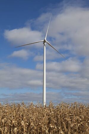 wind turbine 