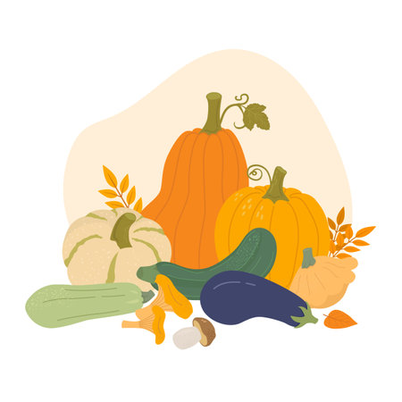 Fresh vegetables flat vector illustration. Autumn harvest of pumpkin, zucchini, cabbage, squash, patisson, carrot, mushrooms. Vegetarian food. Thanksgiving design. farmer's marketのイラスト素材