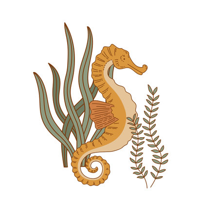 Seahorse and algae outline vector illustration. Underwater world in flat style on a white background. Cute marine animal character for poster, invitation, children book, cardのイラスト素材